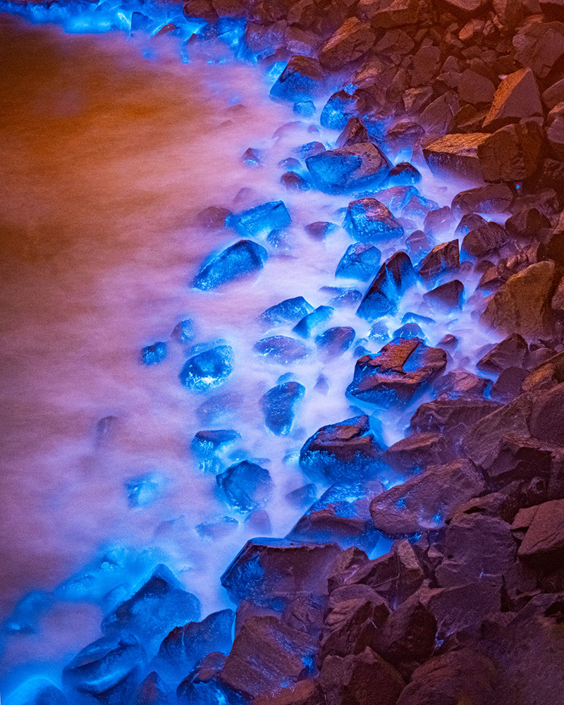 Lavina Lalchandani photo of Bioluminescence on rocks and water at the shore
