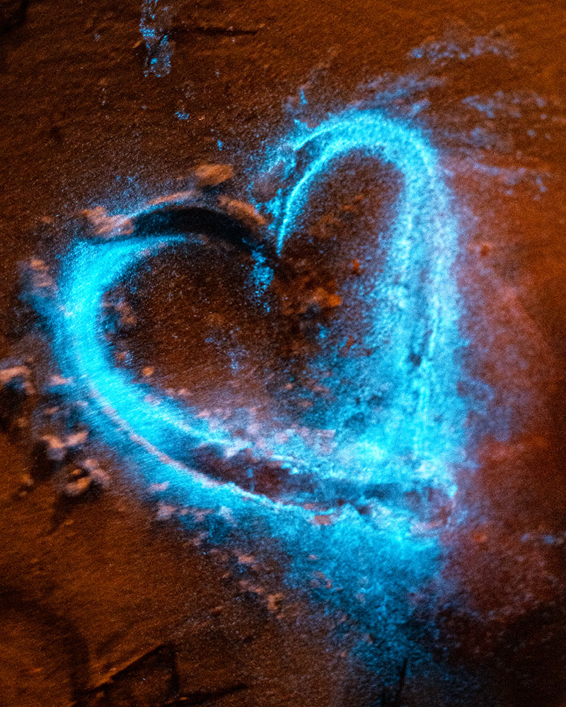 Lavina Lalchandani photo of Bioluminescence heart on the sand