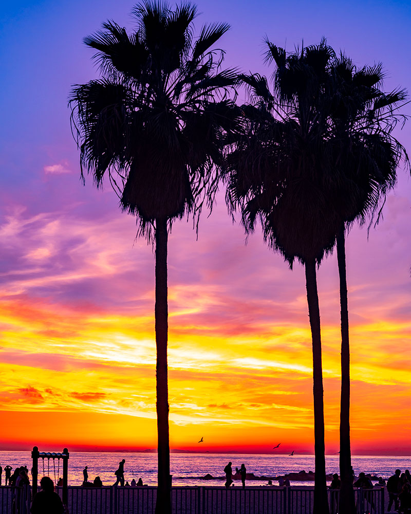 Lavina Lalchandani photo of a venice beach sunset