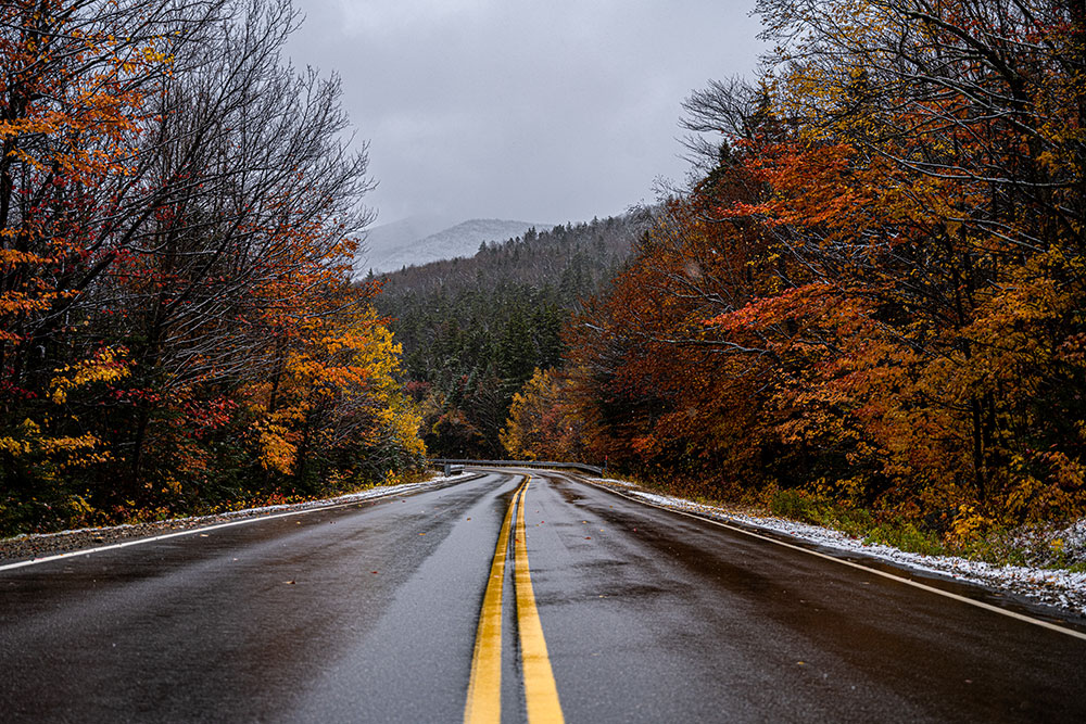 Angela Mocniak photo of a road in the fall